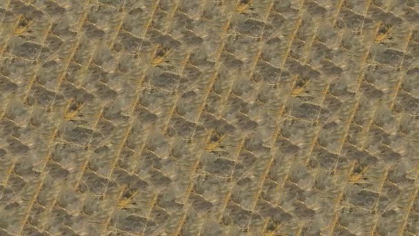 Tekstura Granitowa Warstwy Marmuru Projektowanie Złota Kamień Slab Powierzchnia — Wideo stockowe