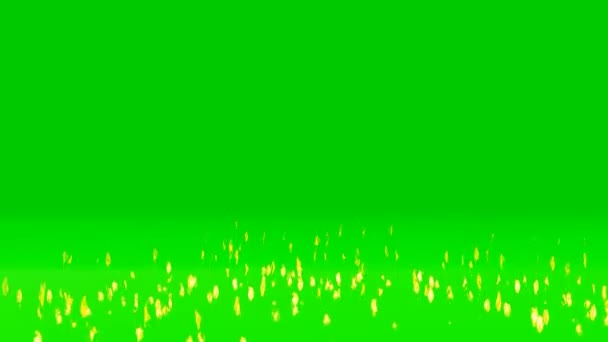 Incêndio Closeup Flames Burning Slow Motion Effect Green Screen Background — Vídeo de Stock