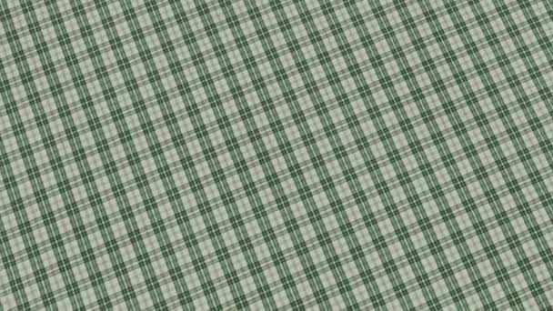 Close View Cotton Tartan Fabric — Stock Video
