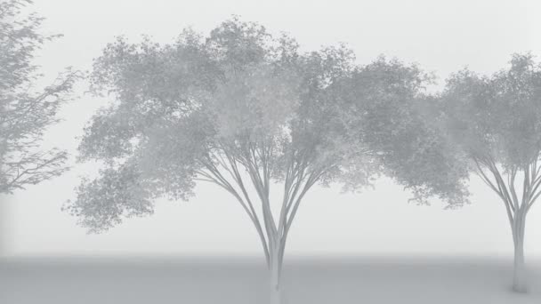 Анимированное Дерево Эффектом Белого Пенопласта — стоковое видео