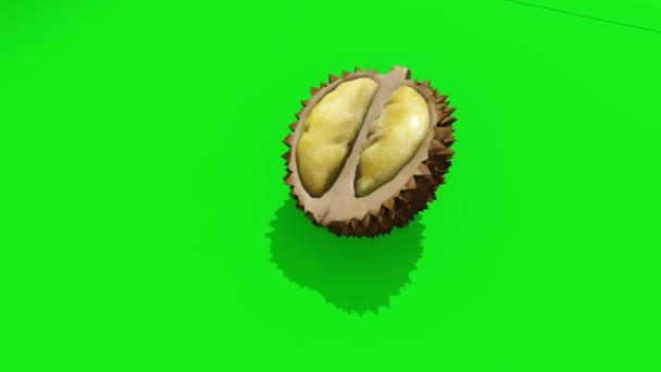 Durian Spinning Greenscreen Bakgrund Looping Spinning Äpple Realisitc Rendering — Stockvideo