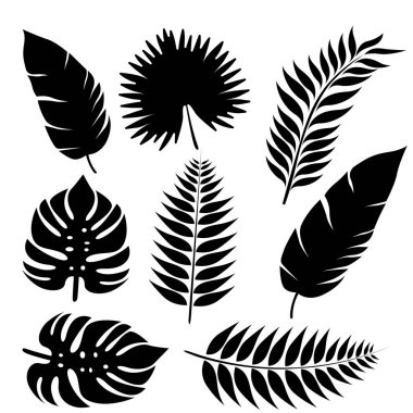 Beyaz arkaplanda tropikal yaprakların siyah silueti.