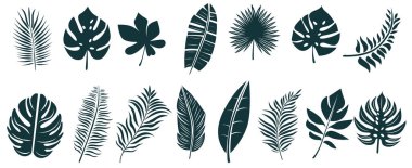 farklı tropikal yapraklarla hazırlanmış.