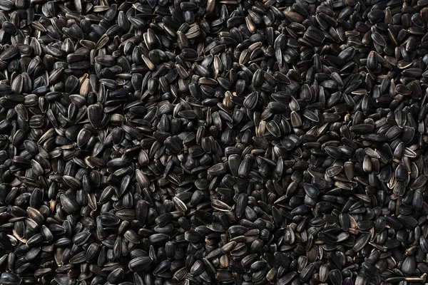 Siyah ayçiçeği tohumları. Arkaplan veya doku için