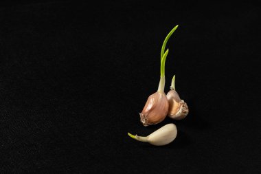 Siyah arka planda sarımsak soğanları, yakın plan. Organik sarımsak yan bakışı. Arka plan görüntüsü olarak sarımsaklı karanfiller serpiştirilmiş. Baharat konsepti.