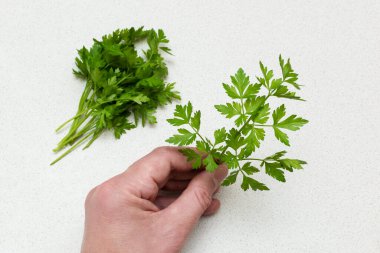 Elinde taze maydanoz, mutfak masasında sebzeler.