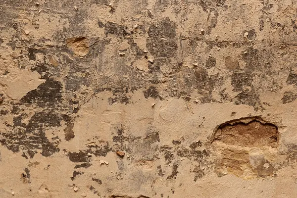 stock image Wall texture with flaking and mold