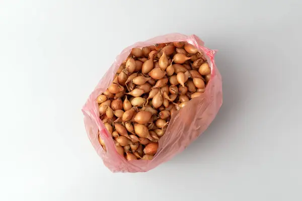 Genç soğan, taze soğan, soğan seti, beyaz arka planda izole edilmiş..