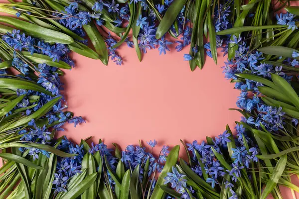 Bahar arka planı. Pembe arka planda kartopu çiçekleri. Romantik, nazik doğa imajı. Anneler Günü için kavramsal geçmiş, 8 Mart 'ta Uluslararası Kadınlar Günü. Kar damlası çiçekli pembe arkaplan. Üst görünüm, düz görünüm, kopyalama alanı.