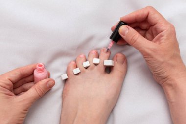 Tırnak cilası başvurusu. Ayak parmakları ayrılmış, pembe oje, beyaz arka plan, ev pedikürü..