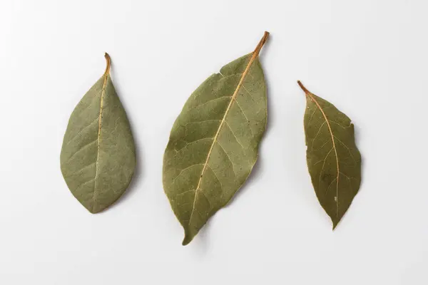 Kurumuş körfez yaprakları beyaz arka planda izole edilmiş. Doğal çeşni. Yemek pişirmek için baharatlar