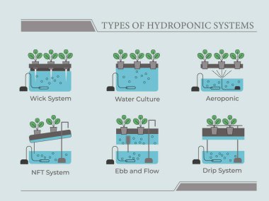 Types of hydroponic systems. Nutrient film technique, deep water culture, aquaponic, aeroponic for urban farming and agriculture 4 clipart