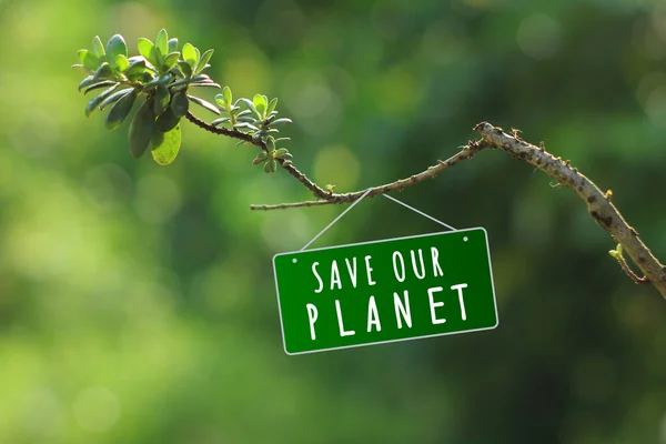 地球を環境を大切にすることで破壊から救うことを求めるキャンペーン 惑星を救う招待状を吊るす小さなペンピス アシドゥラの木 — ストック写真