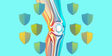 Kalkan sembolleri ile çevrili, eklem koruma, yaralanma önleme veya ortopedik bakımı temsil eden bir insan dizinin stilize çizimi.