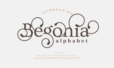 vektör modern yazı tipi, harf, modern alfabe.