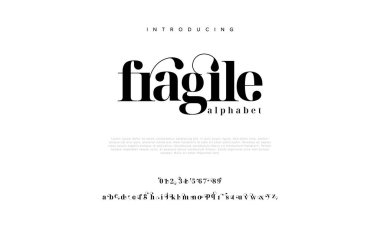 Zarif ve modern yazı tipi tasarımı. vektör