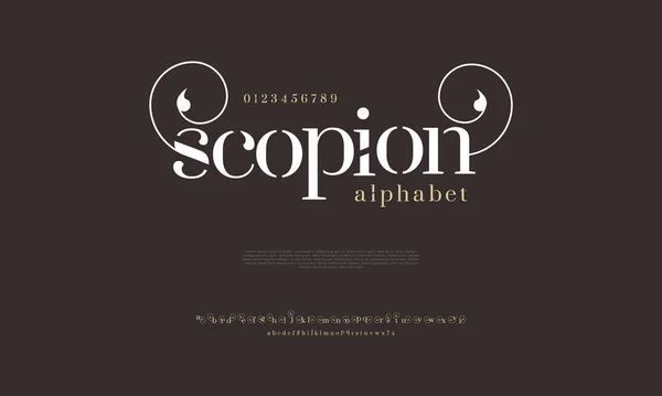 Vector Alphabet Letters Symbols Elegant Font Typography — Stock Vector
