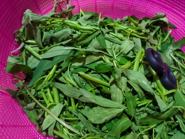 Bir yığın lahana yaprağını kapat.