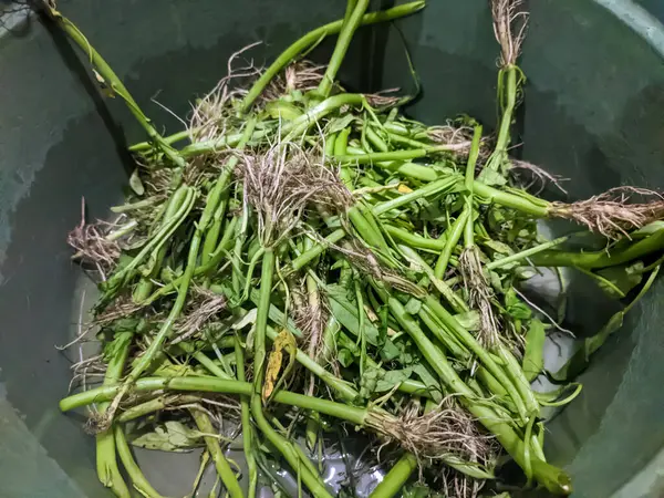 Bir yığın lahana sapını kapat.