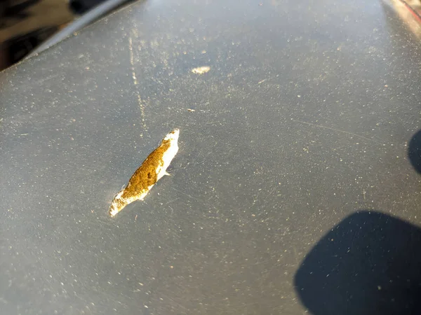 motosiklet koltuğu ve gözyaşı.