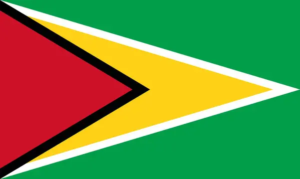 Einfaches Banner Der Guyana Flagge Vektorillustration — Stockvektor