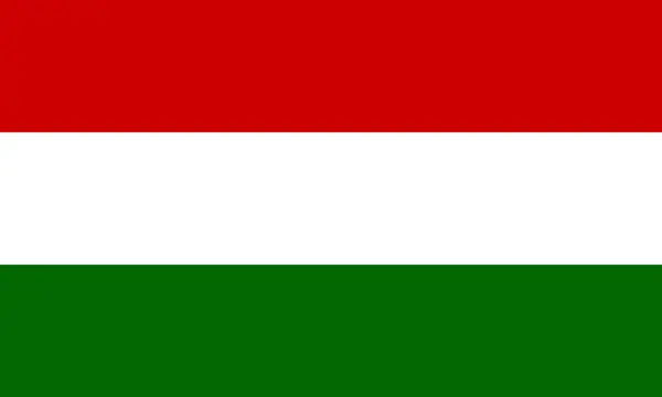 Prosty Sztandar Węgier Flaga Ilustracja Wektora — Wektor stockowy