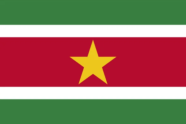Die Nationalflagge Der Surinamischen Vektorillustration Zivil Und Staatsflagge Surinams Mit — Stockvektor