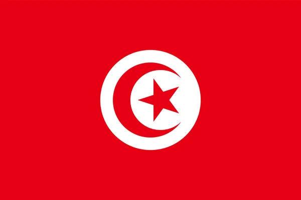 Tunéziai Vektor Illusztrációja — Stock Vector