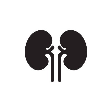 Beyaz arka plan üzerinde izole böbrek