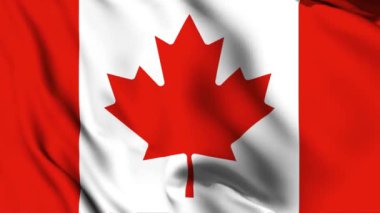 4K bayrak sallayan Kanada animasyon videosu. Kanada bayrağını sallıyor, kusursuz döngü animasyonu