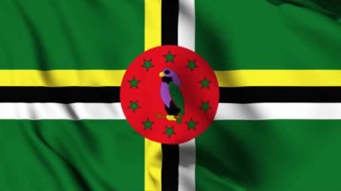 Dominica 4K animasyon videosu sallıyor. Dominik bayrağı sallıyor, kusursuz döngü animasyonu