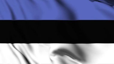 Estonya bayrağı sallayarak 4K animasyon videosu. Estonya bayrağını sallayan kusursuz döngü canlandırması