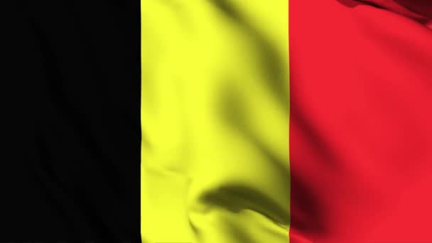 Belgie Mává Vlajkou Animace Videa Belgie Mává Vlajkou Bezešvé Smyčky — Stock video