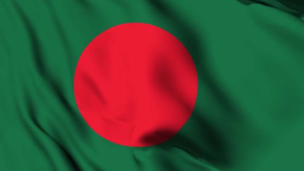 Bangladesh Viftar Flagga Animation Video Bangladesh Viftar Flagga Sömlös Looping — Stockvideo