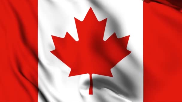 Canadá Acenando Bandeira Vídeo Animação Canadense Acenando Bandeira Sem Costura — Vídeo de Stock