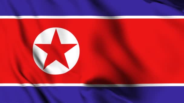 Korea Północna Macha Flagą Animacji Wideo Północnokoreańskie Machanie Flagą Płynna — Wideo stockowe