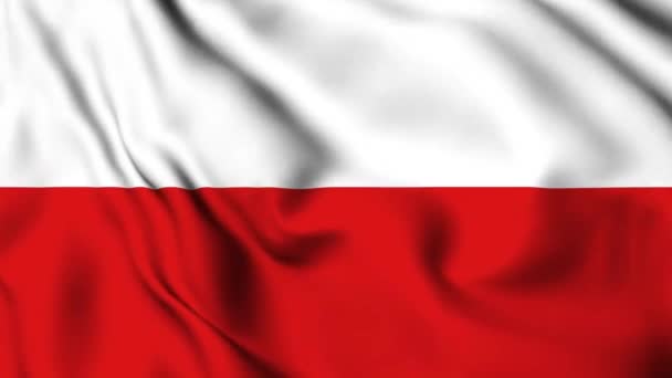 Poland Waving Flag Animation Video Poland Waving Flag Seamless Looping — Stock Video