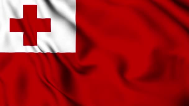 Tonga Mává Příznakem Animace Videa Tonga Mávání Vlajky Bezešvé Smyčky — Stock video