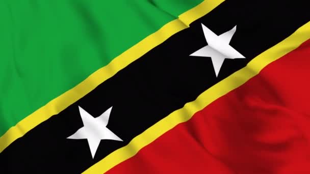 Saint Kitts Nevis Machają Flagą Animacji Mongolia Macha Flagą Płynnej — Wideo stockowe