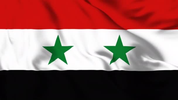 叙利亚挥动国旗4K动画视频 蒙古飘扬国旗无缝回旋动画 — 图库视频影像