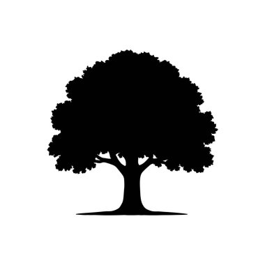 Beyaz arkaplanda izole edilmiş ağaç silueti Büyük meşe ağacı kara yaprak doğa simgesi