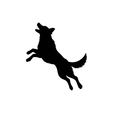 Beyaz arkaplanda köpek yakalama konumu