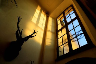 Tall window with a grid-like frame, casting angular shadows against a warm-toned wall. Silhouette of a deer head with antlers mounted on the left, emphasized by side lighting. Patterns of light and shadow play across the textured glass panes.