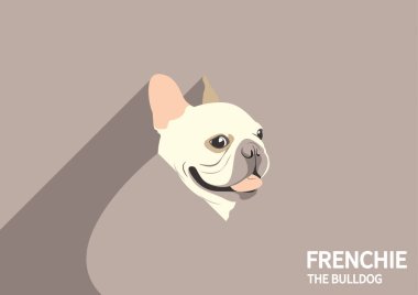 Tatlı Fransız Gölgesi ve Gölge Tarzı. Küçük Fransız Bulldog oturuyor ve gülümsüyor. Gölge geride kalıyor. Oh, benim iyi oğlum Frenchie.