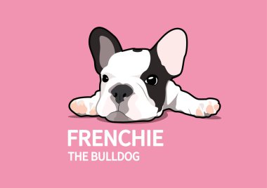 Sevimli tembel Fransız. Frenchie Style 'la istediğin kadar güzel tasarım çizimi yapabilirsin. Tembel köpek! Tembel bir Fransız 'ın bu sevimli vektörüyle rahatla..