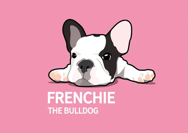 かわいいレイジーフレンチ あなたはフレンチスタイルであなたが望む任意のかわいいデザインのアートワークを作ることができます 狂った犬 怠惰なフランス人のこの愛らしいベクターで冷やしてください — ストックベクタ