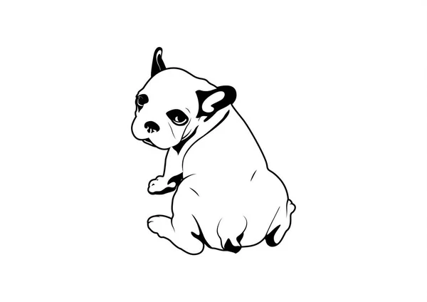 Cute Frenchie Bulldog Backside Sitting Leisurely Style Black White Drawing — Stock Vector