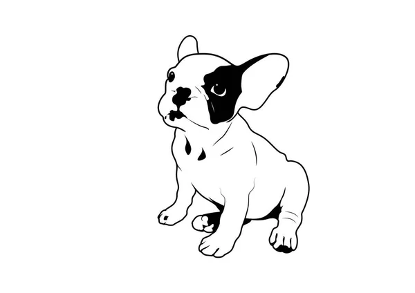 Lindo Bulldog Francés Dos Tonos Vector Logotipo Estilo Blanco Negro — Vector de stock