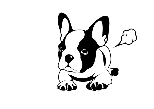 Bulldog Francês Seu Pequeno Peido Frenchie Bonito Símbolo Logotipo Bulldog — Vetor de Stock