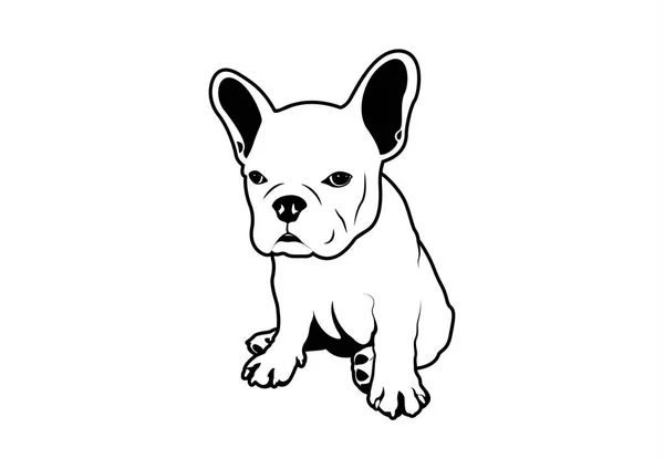 Die Französische Bulldogge Sitzt Schwarz Weiß Auf Dem Boden Wirkt — Stockvektor